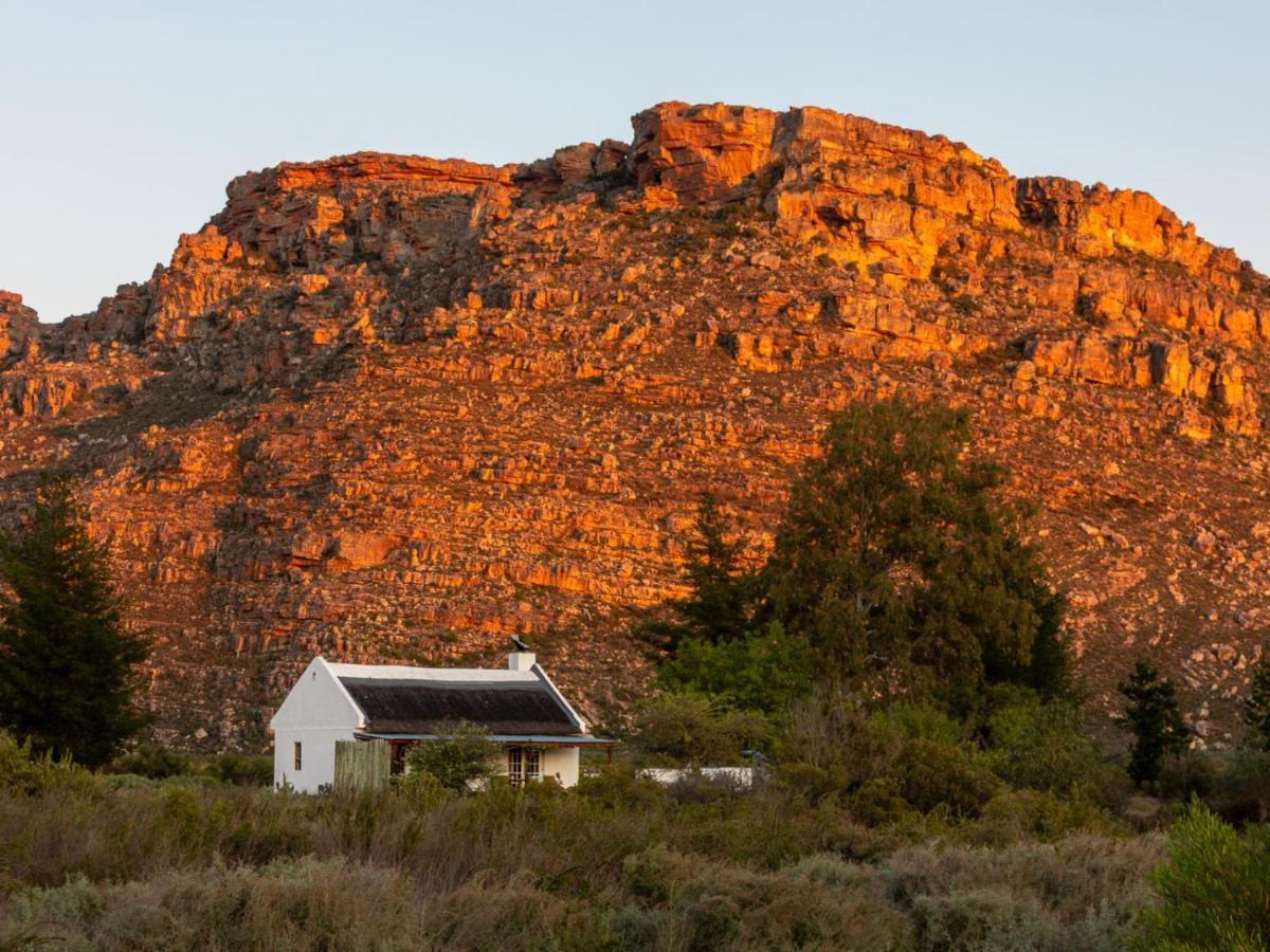 Vila Alpha Excelsior Guest Farm Clanwilliam Exteriér fotografie