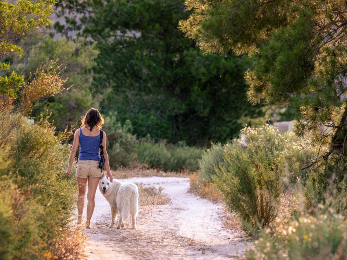 Vila Alpha Excelsior Guest Farm Clanwilliam Exteriér fotografie