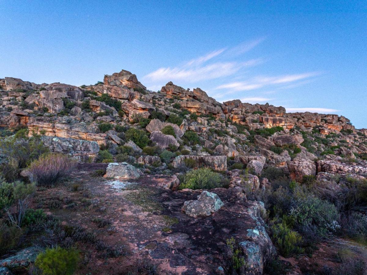Vila Alpha Excelsior Guest Farm Clanwilliam Exteriér fotografie