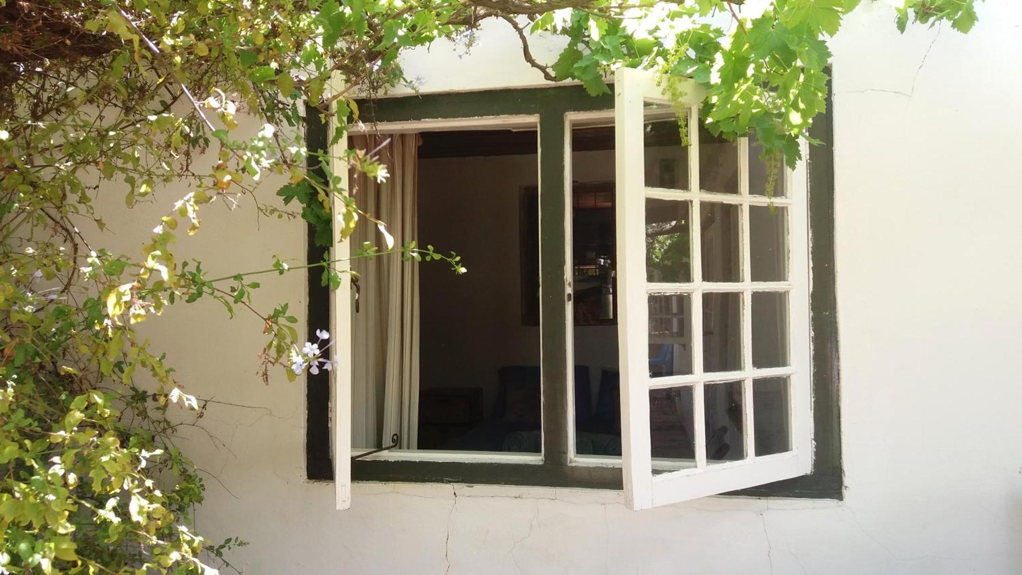 Vila Alpha Excelsior Guest Farm Clanwilliam Pokoj fotografie