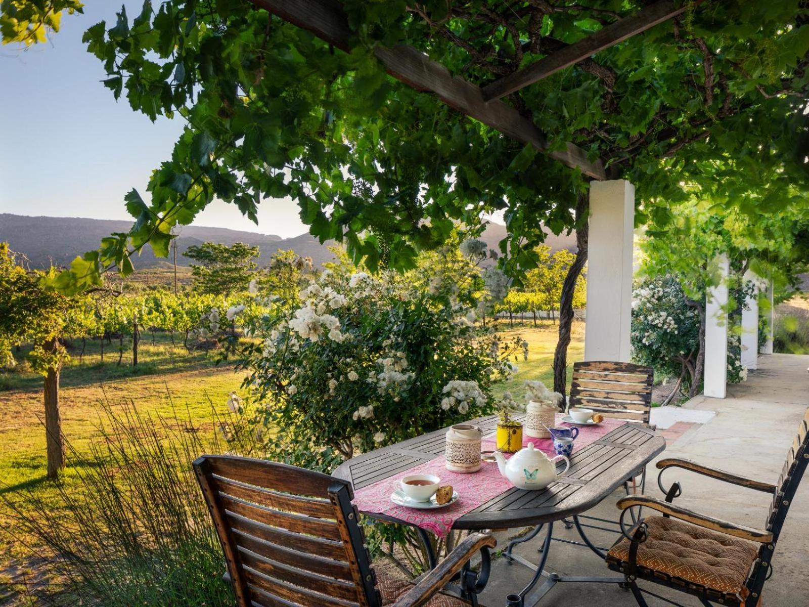 Vila Alpha Excelsior Guest Farm Clanwilliam Pokoj fotografie
